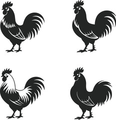 Rooster silhouette illustration, black and white vector, stylized farm animal design, minimalist poultry artwork, decorative bird graphic, isolated clipart