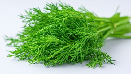 Fresh dill bunch on white background