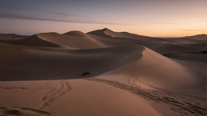 Dunes at Dusk