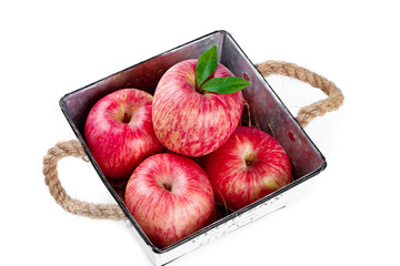 Fresh Red Striped Fuji Apples from Shandong Yantai China in Rustic Metal Basket