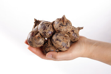 Fresh Water Chestnuts in Hand on White Background - Natural Organic Produce