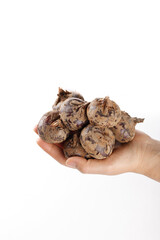 Fresh Water Chestnuts in Hand on White Background - Organic Natural Food Ingredient