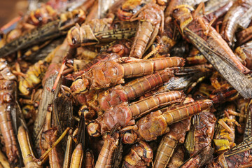Fresh Mantis Shrimp Seafood Display at Traditional Asian Market in Shandong China