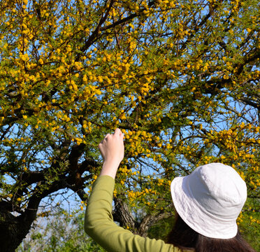 young woman in spring park