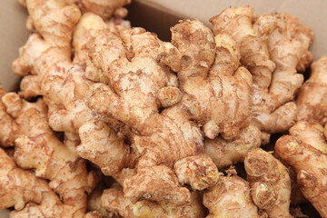 Fresh Ginger Root Pieces in Foam Packing Box - Natural Cooking Spice and Seasoning Ingredient