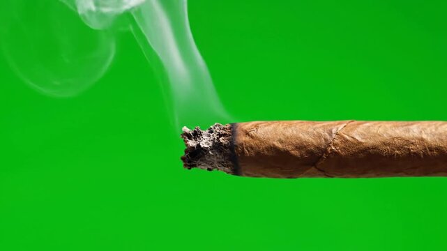 Smoking Cigar: A close-up image capturing a smoking cigar with a gentle plume of smoke swirling against a vibrant green background. It tells a tale of indulgence and sophisticated taste