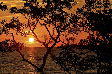 Silhouette. The view of the sun around the sea at dusk