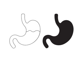 Fototapeta premium Human Stomach Anatomy Vector Illustration