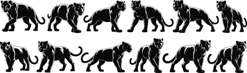 Set of twelve black panther silhouettes in various walking and standing poses, sleek wild animal collection, powerful wildlife illustration, isolated vector design