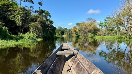 Canoe Front Navigating River with Tropical Jungle in Daytime Adventure Mood