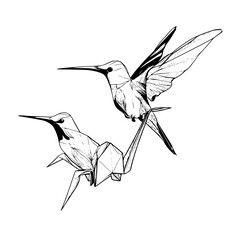 Obraz premium Two stylized hummingbirds one origami and one realistic in black and white line art illustration