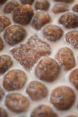 Cereal in milk, perfect for breakfast