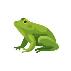 A vibrant green frog sits poised, showcasing its glossy skin and distinct features, embodying the spirit of nature's colorful creatures.