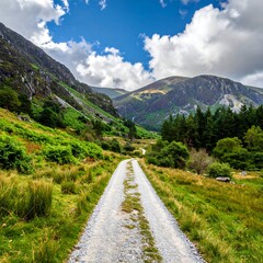 Winding road through a lush valley