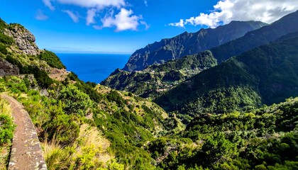 Obraz premium Lush valley, ocean view