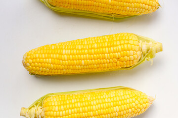 Fresh yellow corn cob with husk