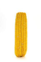 Single fresh corn on the cob isolated on a white background