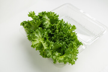 Fototapeta premium Fresh green lettuce in plastic container isolated on white background