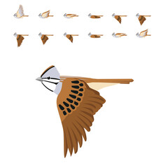 Rufous-Collared Sparrow Flying Seamless Background Wallpaper Pattern