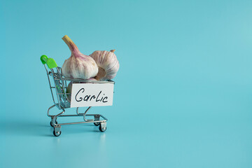 Garlic is a natural antiseptic and medicine. A garlic bulb in a cart in close-up on a light background and the inscription "protection" on the side.	