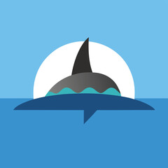 Fototapeta premium shark in the sea
