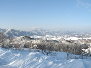 대관령 눈꽃 트래킹