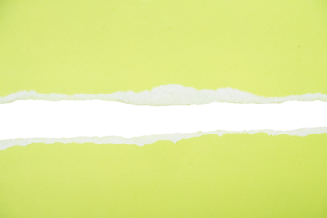 Soft focus light green and white abstract background gentle blend subtle texture backdrop