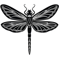 Fototapeta premium dragonfly on white background