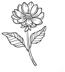 Floral illustration of a dahlia flower with leaves, in black and white