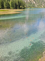 The stunning scenery of a lake in summer in the Jiuzhaigou National Park, China