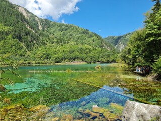 Beautiful scenery of a lake in summer in Jiuzhaigou National Park, China.