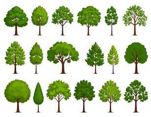 Fototapeta premium Collection of various cartoon trees