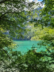 Reflection on the surface of a lake in summer in Jiuzhaigou National Park, China.