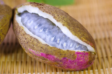 秋の味覚 アケビの実（割れて白い果肉が見える野生果）