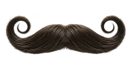 Handlebar mustache view on transparent background