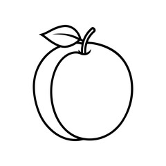 Outline drawing of a single peach fruit on transparent background