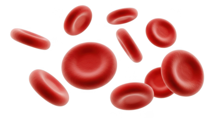 Red blood cells isolated on transparent background
