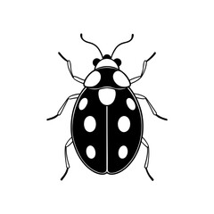 Illustration of a black and white ladybug on transparent background