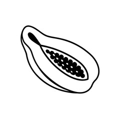 Outline drawing of a papaya slice with seeds on transparent background