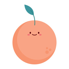 Minimalist Flat Line Orange Fruit Illustration
