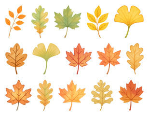 Fototapeta premium PNG Colorful autumn leaves illustration, element set on transparent background