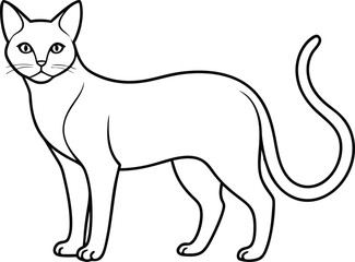 Elegant Cat Outline Graphic - Vector Line Art