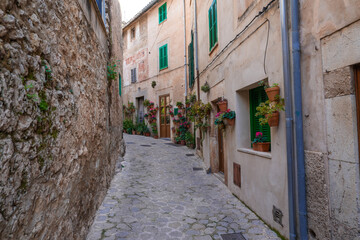 Fototapeta premium Narrow street lined with potted plants in Valldemossa Spain
