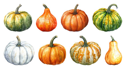 PNG Colorful watercolor pumpkins illustration, element set on transparent background