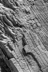 Rock Face Texture Black and White