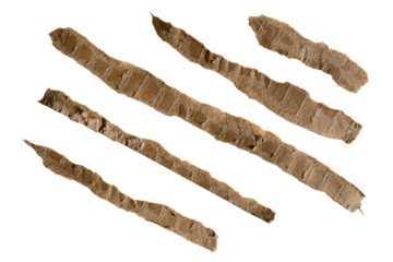 A set of elongated, torn cardboard papers designed for use as a separator line in graphic design.