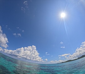 夏を遊びつくそう！
