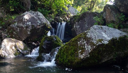 A small waterfall cascading over rocks in a lush forest