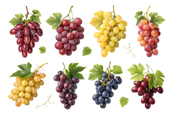 Collection of eight different bunches of fresh ripe grapes in various colors including red purple green and yellow isolated on transparent background