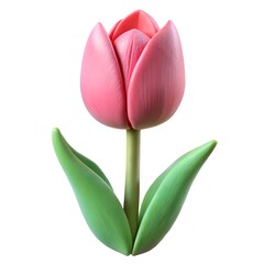 bouquet of pink tulips